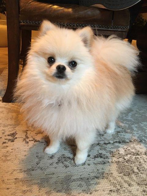 Ashlyn profile photo