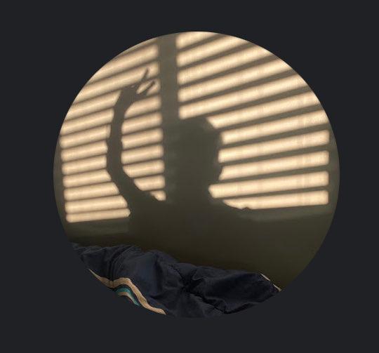 Angel profile photo