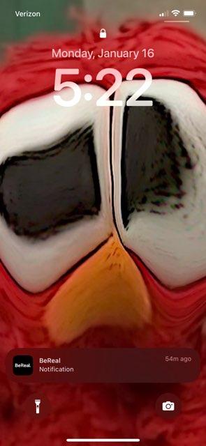 Lucy profile photo