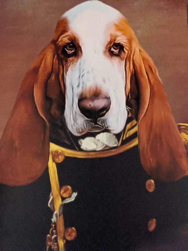 Duck-Duck profile photo