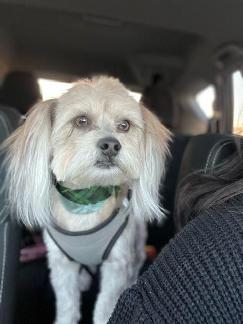 Theo profile photo