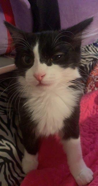 Zoey profile photo