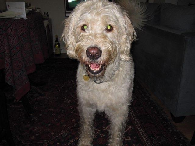 Marty profile photo