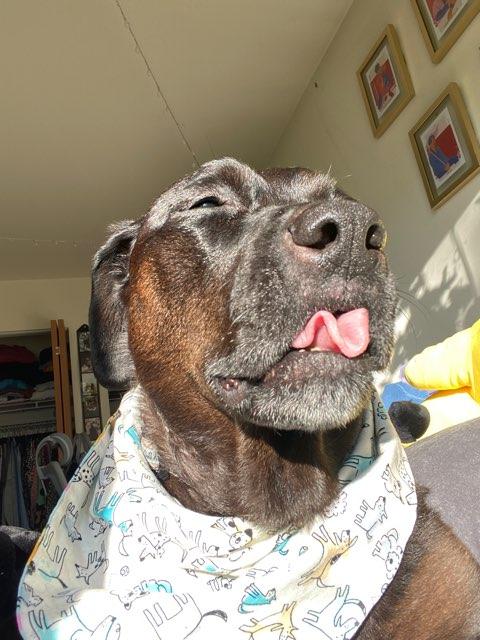 Amanda profile photo