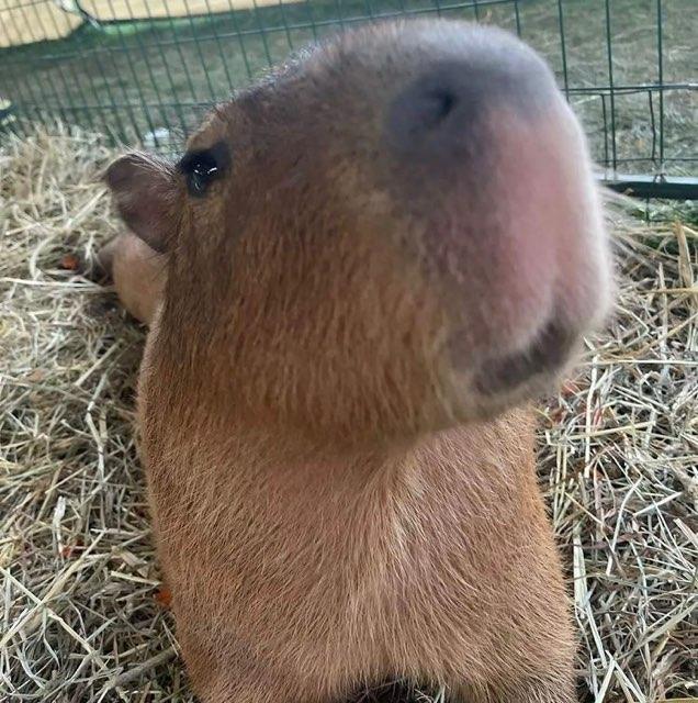 bailey profile photo