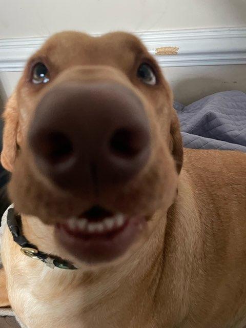 paytonhaynes profile photo