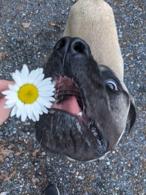 C profile photo