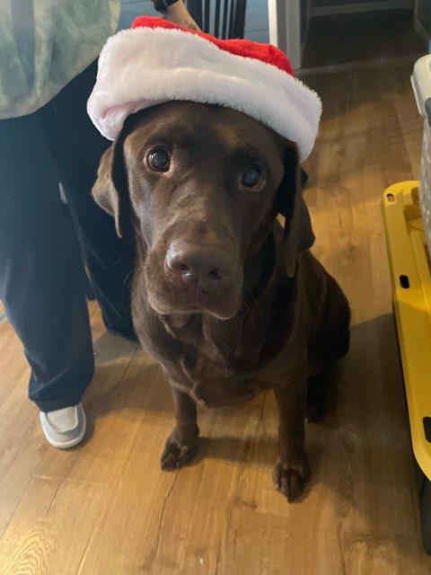 Max profile photo