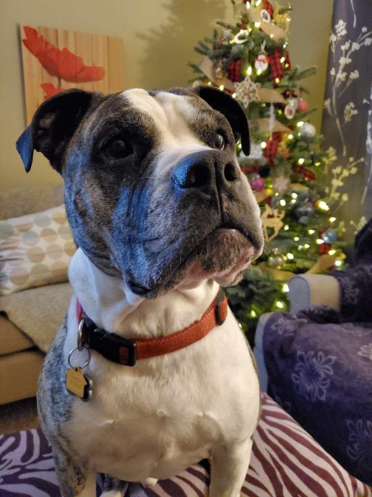 Néza profile photo
