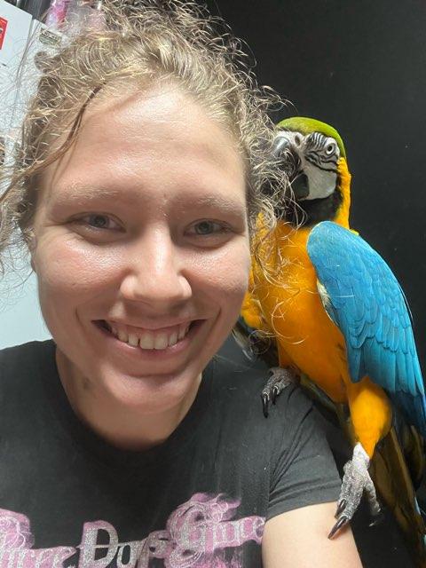MessyKate profile photo