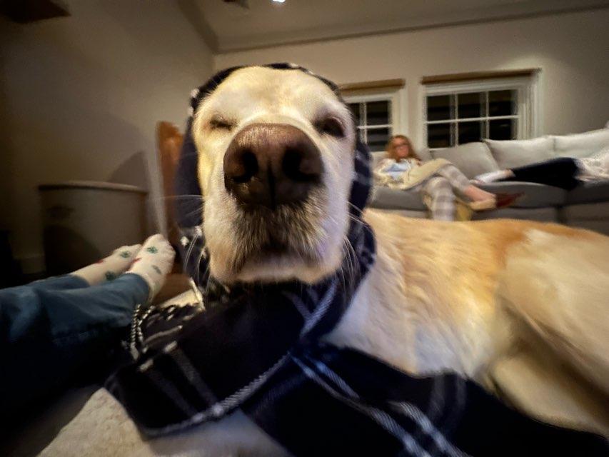 Eloise profile photo