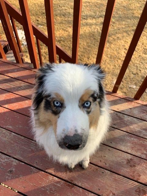 maddy profile photo