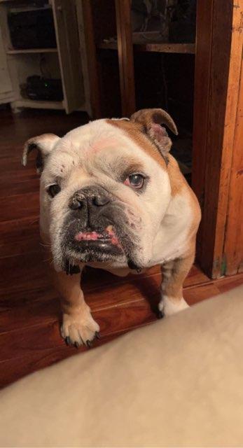 Nicoletta profile photo