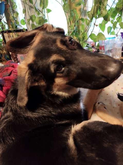Clara profile photo