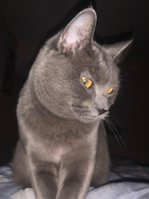 Montague profile photo