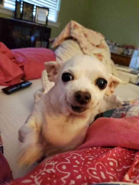 Donna profile photo