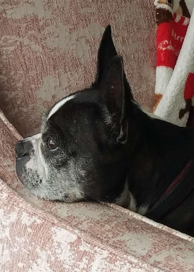 Vicki profile photo