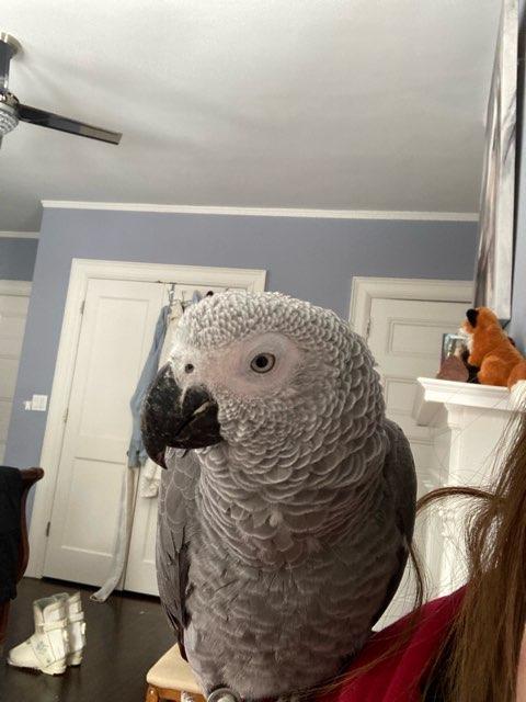 Abby profile photo