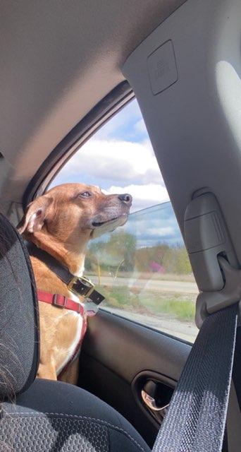 Averi profile photo