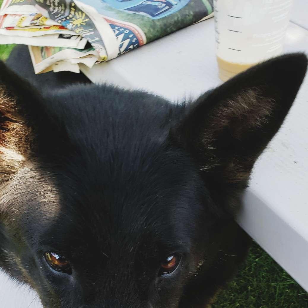 Suki profile photo