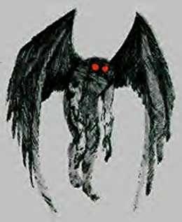 Mothman profile photo