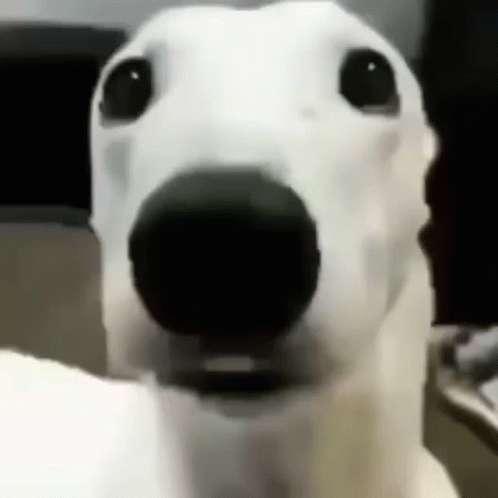 Kevin profile photo