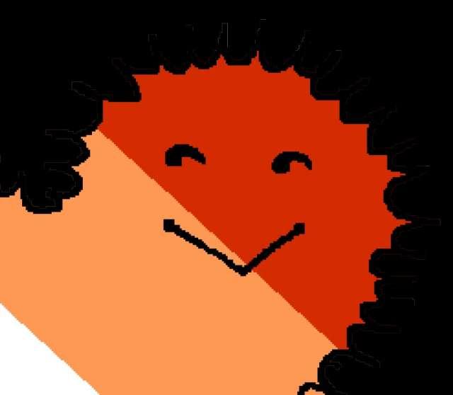 Sucre profile photo