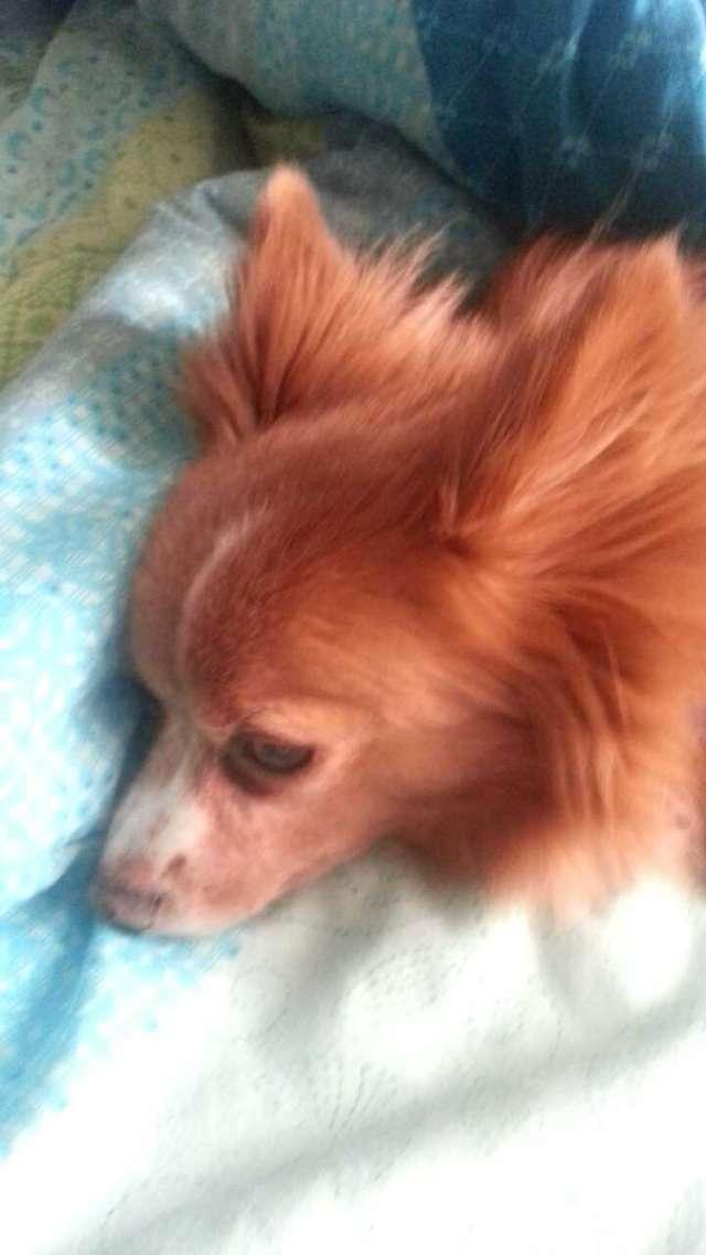 Bridget profile photo