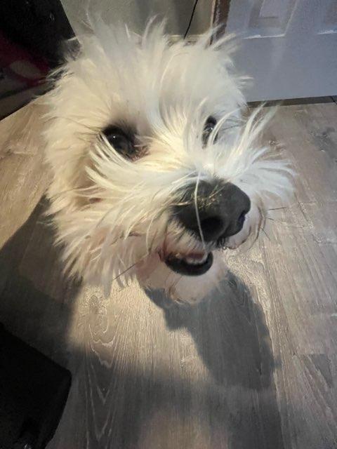 Brady profile photo