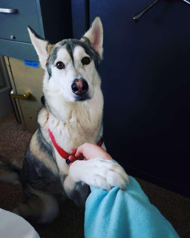 Skye profile photo