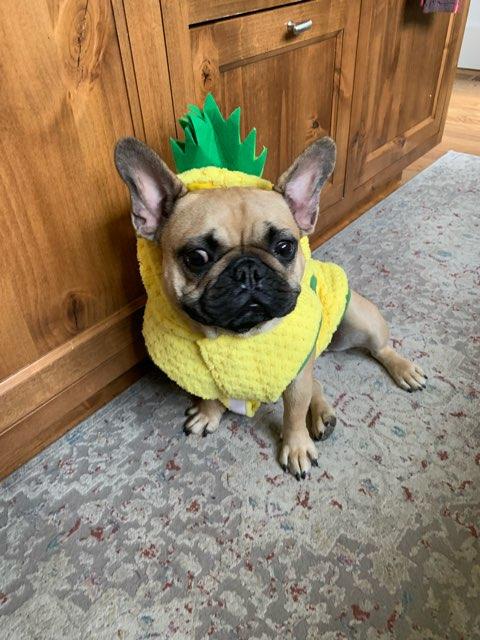 Avery profile photo
