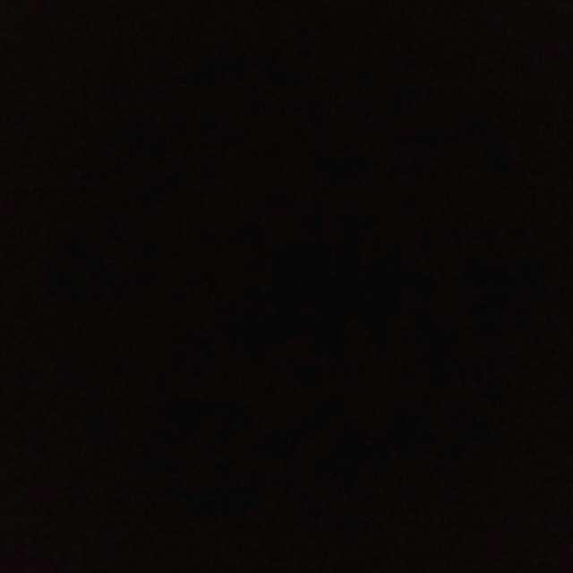 WT profile photo