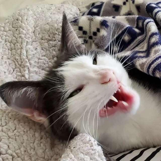 Ms profile photo
