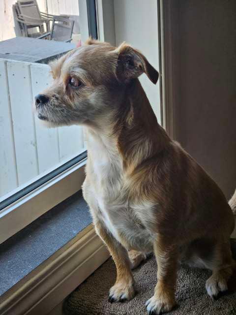 Callie profile photo