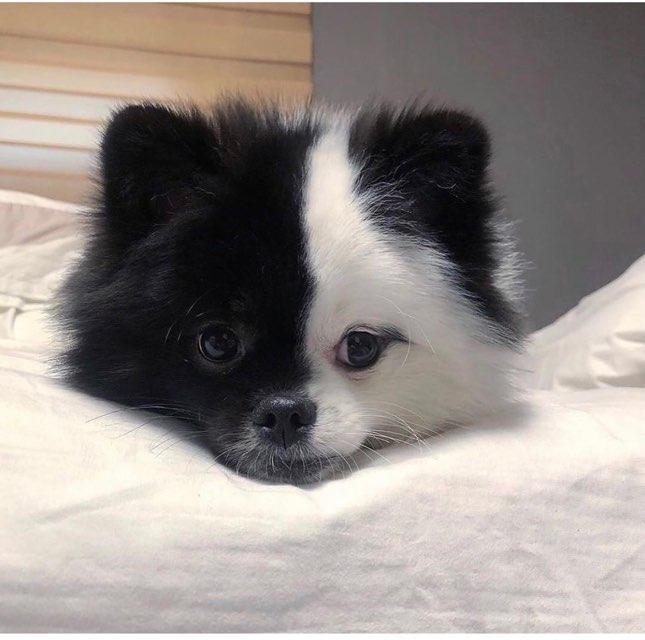 Monica profile photo