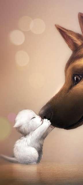 Alena profile photo