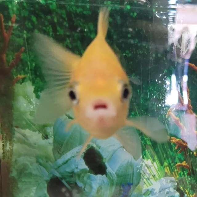 Drey profile photo