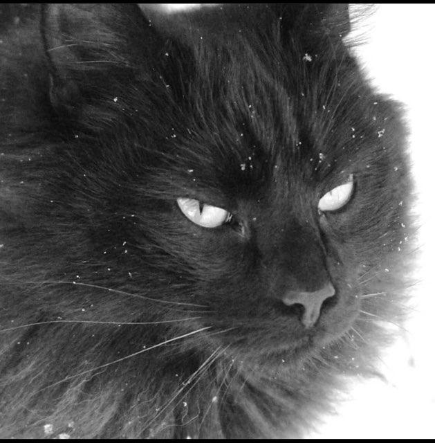 Róisín profile photo