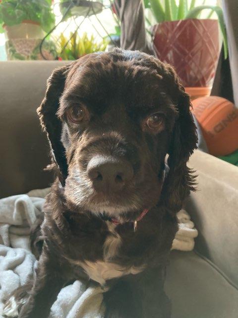 Bella profile photo