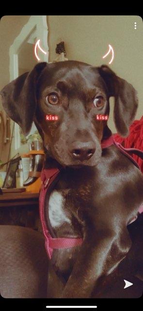 Elora profile photo