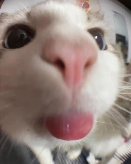CassidyReads profile photo
