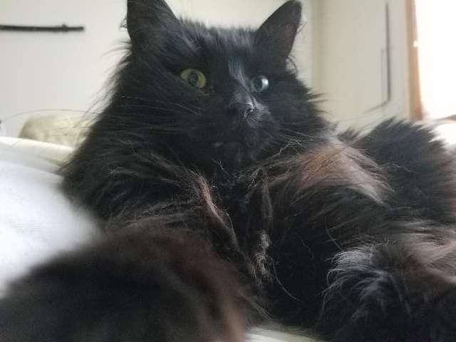Marie profile photo