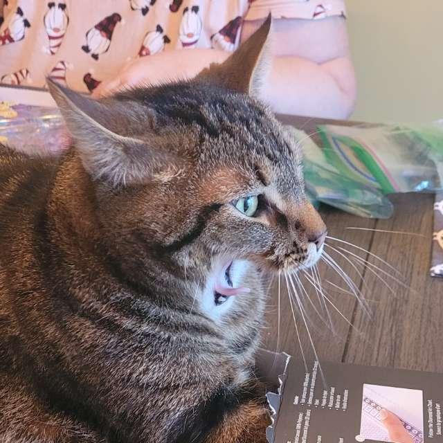 Book profile photo