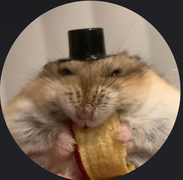 Dieter profile photo