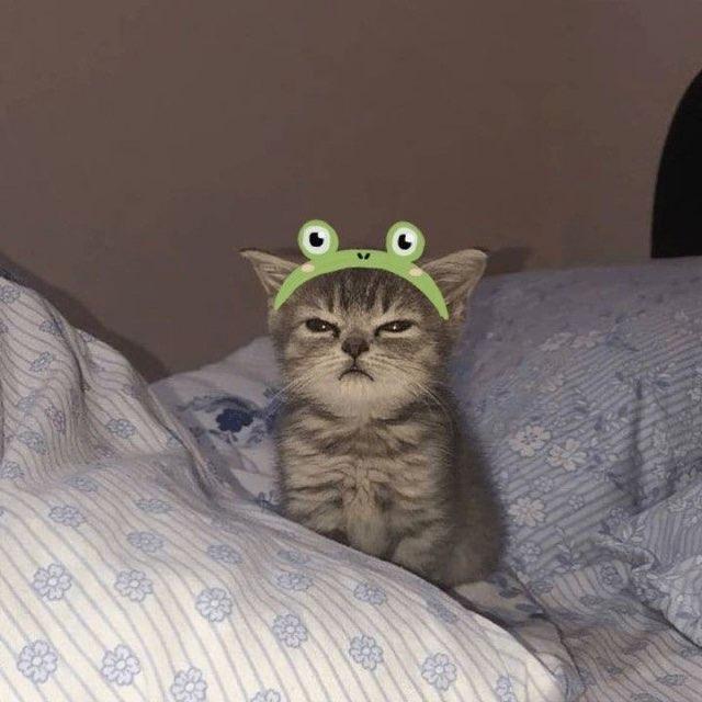 Kat profile photo