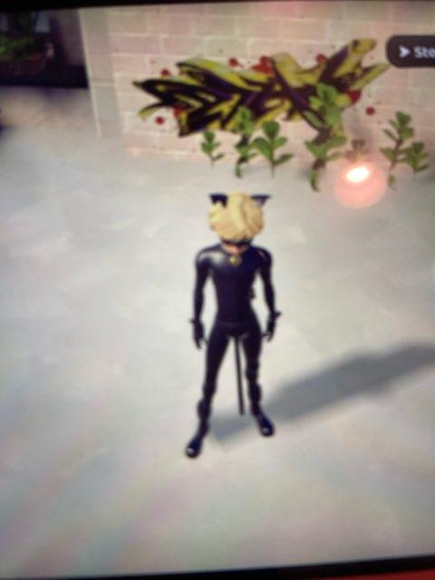 Taylor profile photo