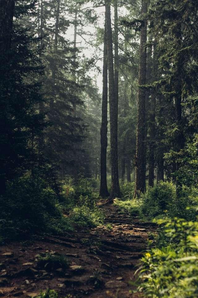 Aaron_ profile photo
