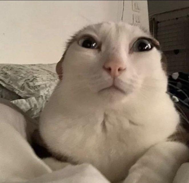 Grady profile photo