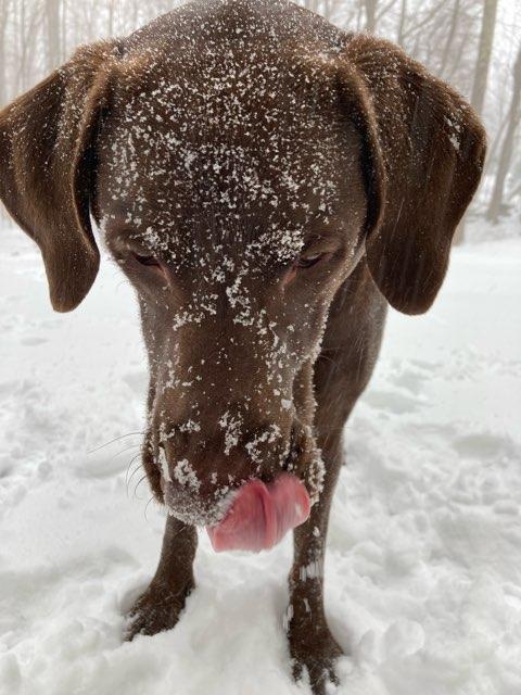 Norah profile photo