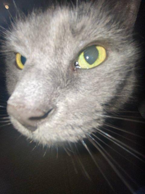 Leah profile photo